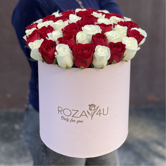 51 роза красно-белый микс коробке